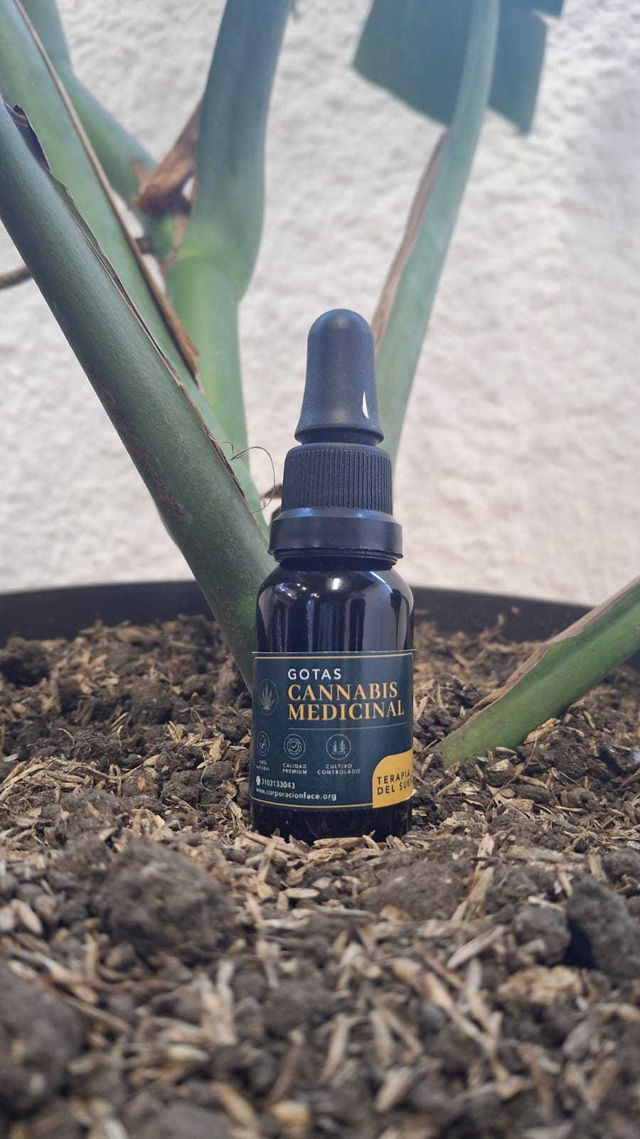 Gotas Cannabis Medicinal