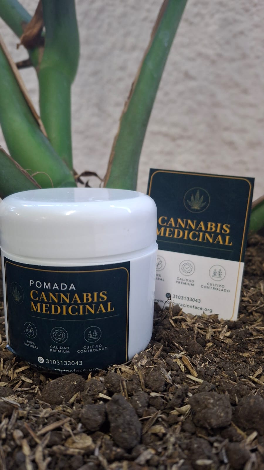 Pomada cannabica